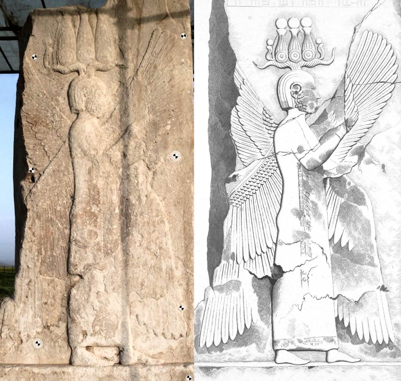 Historical drawing of the winged figure relief at Pasargadae associated with Cyrus